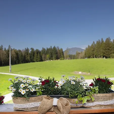 Auszeit Am Bauernhof Apartment Schwoich