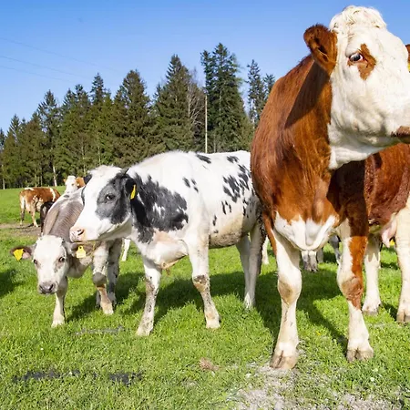 Auszeit Am Bauernhof * Schwoich