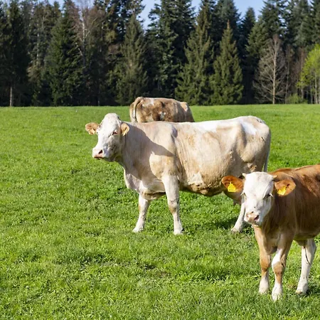 Auszeit Am Bauernhof Schwoich