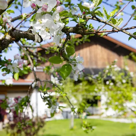 Auszeit Am Bauernhof