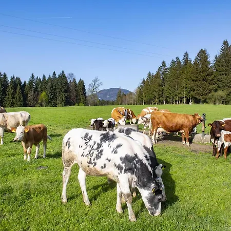 Auszeit Am Bauernhof Schwoich